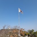 팔봉김밥 이미지