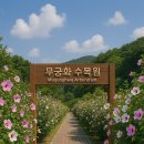 자연알로(보령) 이미지