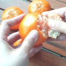 동환농장 이미지