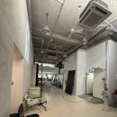 아이티 스튜디오(Eyety Studio) | 인생샷 가득한 서울 스튜디오 이노 웨딩촬영 후기 +꿀팁!