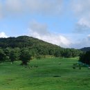 평화축산 | 🐴 제주마방목지(축산생명연구원) 방문 후기 – 조랑말과 함께한 힐링 여행
