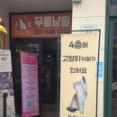 수원-0374 | 수원 인계동 이색카페 무릉냥원, 고양이와 함께하는 힐링 시간