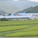 김동복농장 이미지