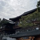 카페;늘그렇듯 | 수원 화성 융건릉 근처 대형카페 혜경궁 베이커리, 부모님 모시고 아이와 가족 주말 나들이 코스 추천