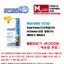 (주)포르자10코리아 이미지