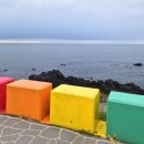 제주알(R)호텔 이미지