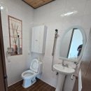 해뜨는 숲속 이미지