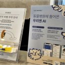 맑은숲동물병원 | 대전동물병원, 숲 동물의료센터 다녀온 후기