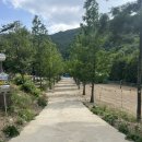 리우농장 | 경북 문경 리우캠핑장 키즈캠핑 추천
