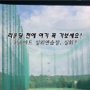 리버휠 스크린골프 이미지