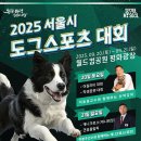 도그# 이미지
