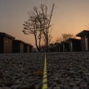 더 코지 캠핑장 이미지