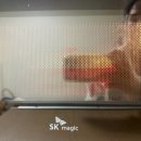 에스에스제이 | 전자레인지 멀티팟 후기 전자레인지그릴로 야채고기찜 만들기