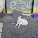 이마트24 아침고요수목원점 - 34125 | 이마트24 아침고요수목원점