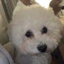 올가민박 이미지