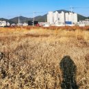 주촌면 행정복지센터 이미지