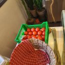 샘말로 | 기선당 | 용인 고기리 숨은 빵집 | 사워도우·호밀빵 맛집 | 후기