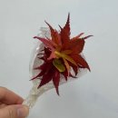 강릉모루도서관 | 위태로움 (강릉시립모루도서관 북토크 후기)