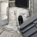 우리집밥 이미지