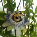 대구동부초등학교 이미지