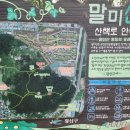 말미산정상 이미지