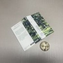 혜영목장 | 돌베개 / 강석희 장편소설 <녹색 광선>