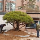 양괴리농장 이미지