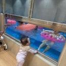 호텔코어 키즈풀빌라 이미지