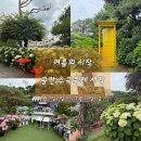(주)엠비씨충북 - 충주시 | 6월 가볼만한곳 청주 수국명소 대형베이커리카페 민간정원 베이커리카페 공간 수국축제 포토존 소개