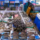 대영수산 이미지