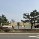 임진강 | 파주 국내 최초 임진각 평화 곤돌라 임진강 DMZ 민통선 케이블카 후기