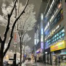 군산복싱체육관(권투) 이미지