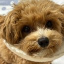 이선동물병원 이미지