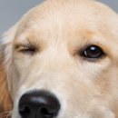 하이 동물병원 이미지