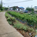 이선생댁 이미지