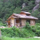 자연을 닮은 집 이미지