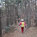 백운산둘레길5코스 Daum카페