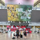 [뭐라도학교]사진과 함께하는 세계여행 | 2025 서울월드컵경기장 코리아컵 결승 직관 후기(1일 빛고을 체험💛)