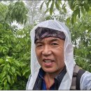 마즈막재 이미지