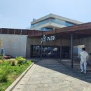 9.81 PARK JEJU 이미지