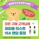 [반려견 필수용품] 내돈내산 강아지 눈물케어 제품 눈물세정제, 눈물파우더 추천 퍼피플