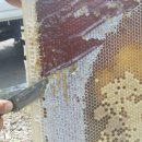 최순복농장 이미지