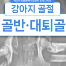 속초삼성동물병원 이미지