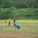 초지농장 이미지