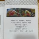 교야스시삼계직영점