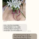 그로잉가든&플라워