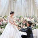 칼라21 | wedding21:안산 Aw 컨벤션 홀패키지 6층 파티오볼룸 본식 후기