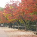 남원 광 한 루 이미지