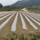 적상면016 이미지