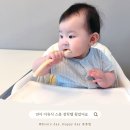 디자인한스푼 | 이유식 스푼 추천 모윰 한 입 이유식 스푼 사용 후기